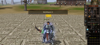 Metin2support
