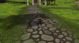 1 1