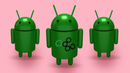 Root nedir Root nedir