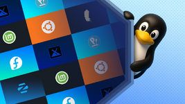 Illustration of the linux mascot peeking out from behind a panel showing various linux distrib