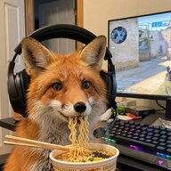 CrazyFox99
