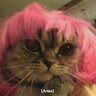 MrsVenus