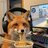 CrazyFox99
